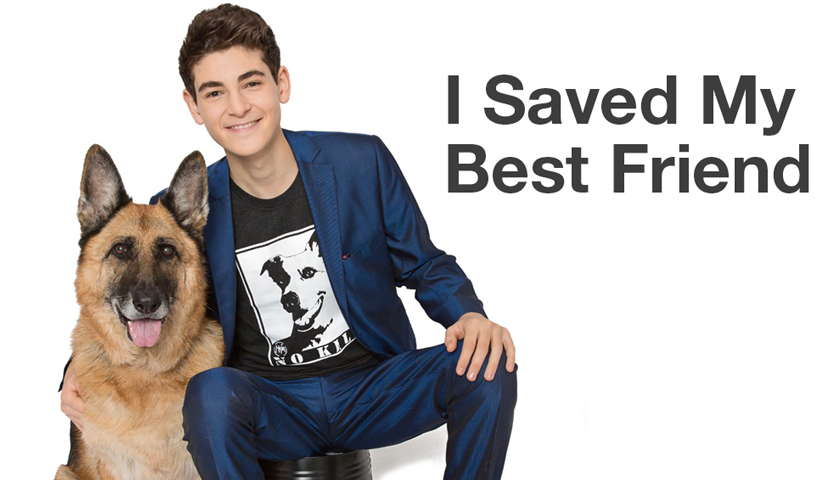 Star of 'Gotham,' David Mazouz, Urges People to Join National Animal Welfare  Organization's Drive to Save Shelter Animals – Ethical Marketing News