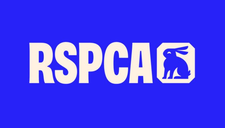 RSPCA animated film goes viral amid busiest period for animal cruelty